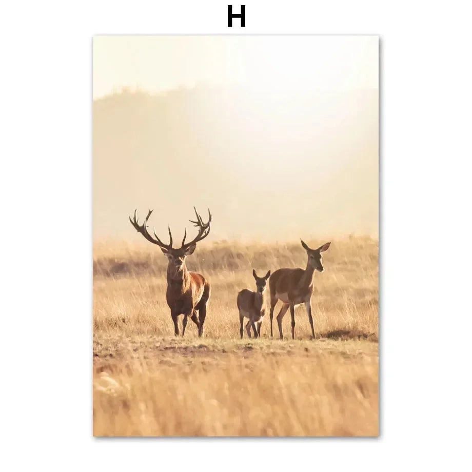 Waldtiere Wandbilder Set
