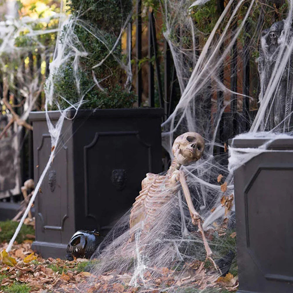 Stretchable Spider Web Decoration