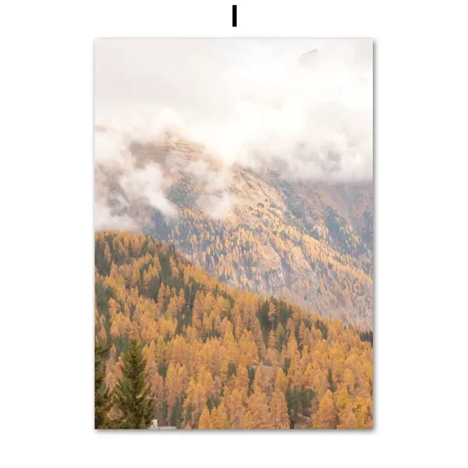 Waldtiere Wandbilder Set