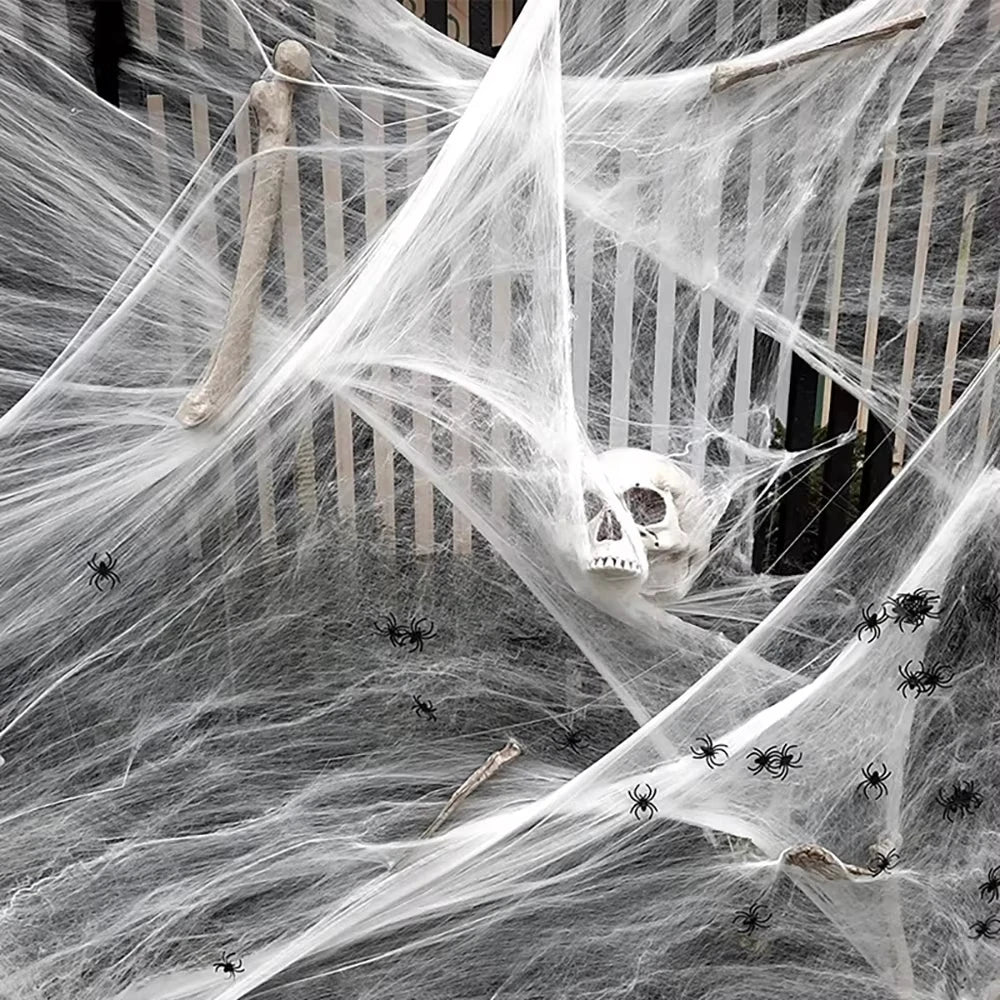 Stretchable Spider Web Decoration