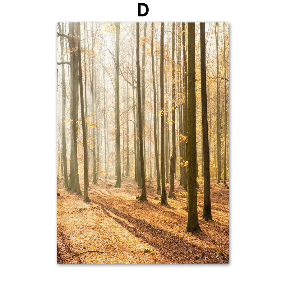 Waldtiere Wandbilder Set