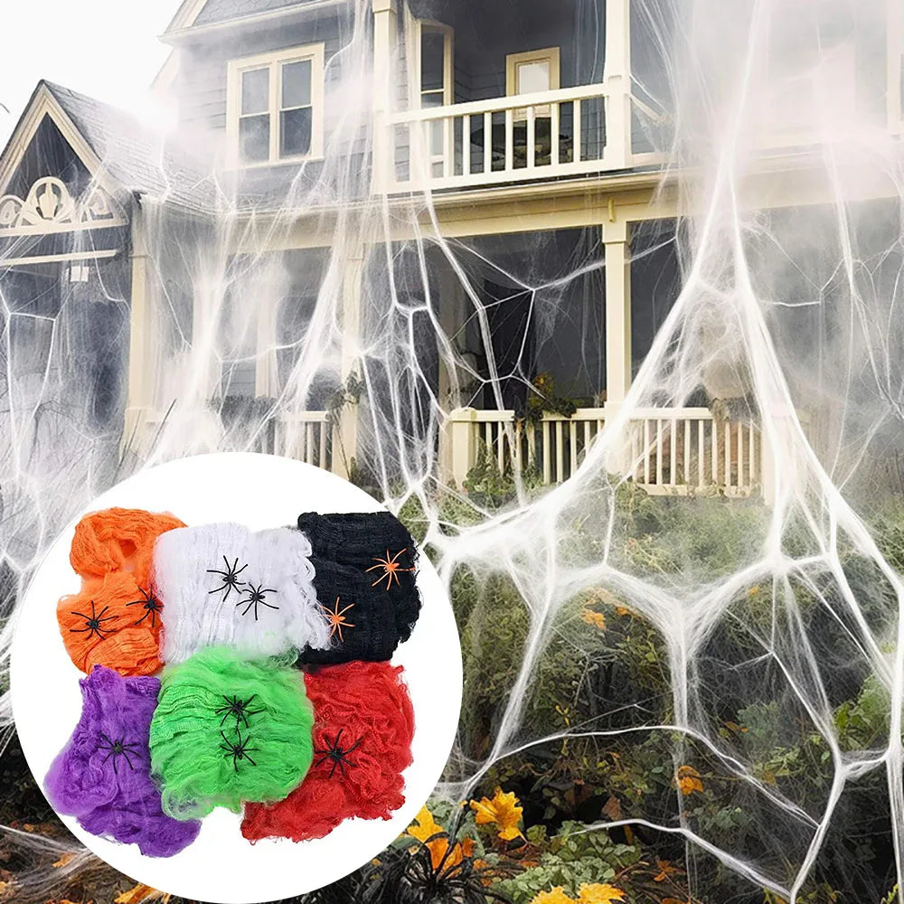 Stretchable Spider Web Decoration