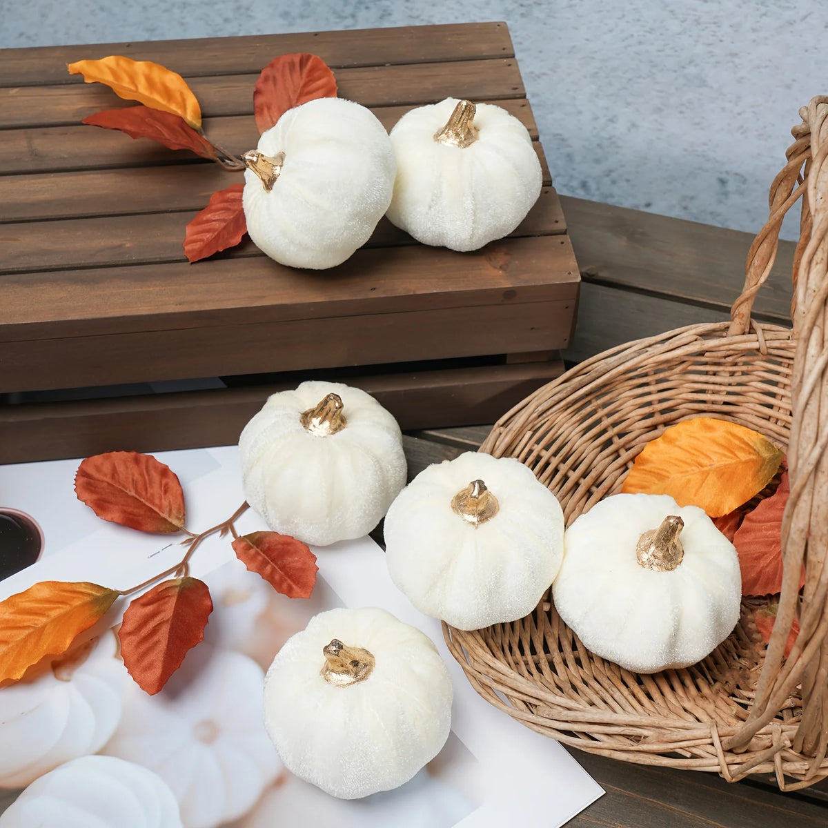 White Paintable Pumpkin Set of 6