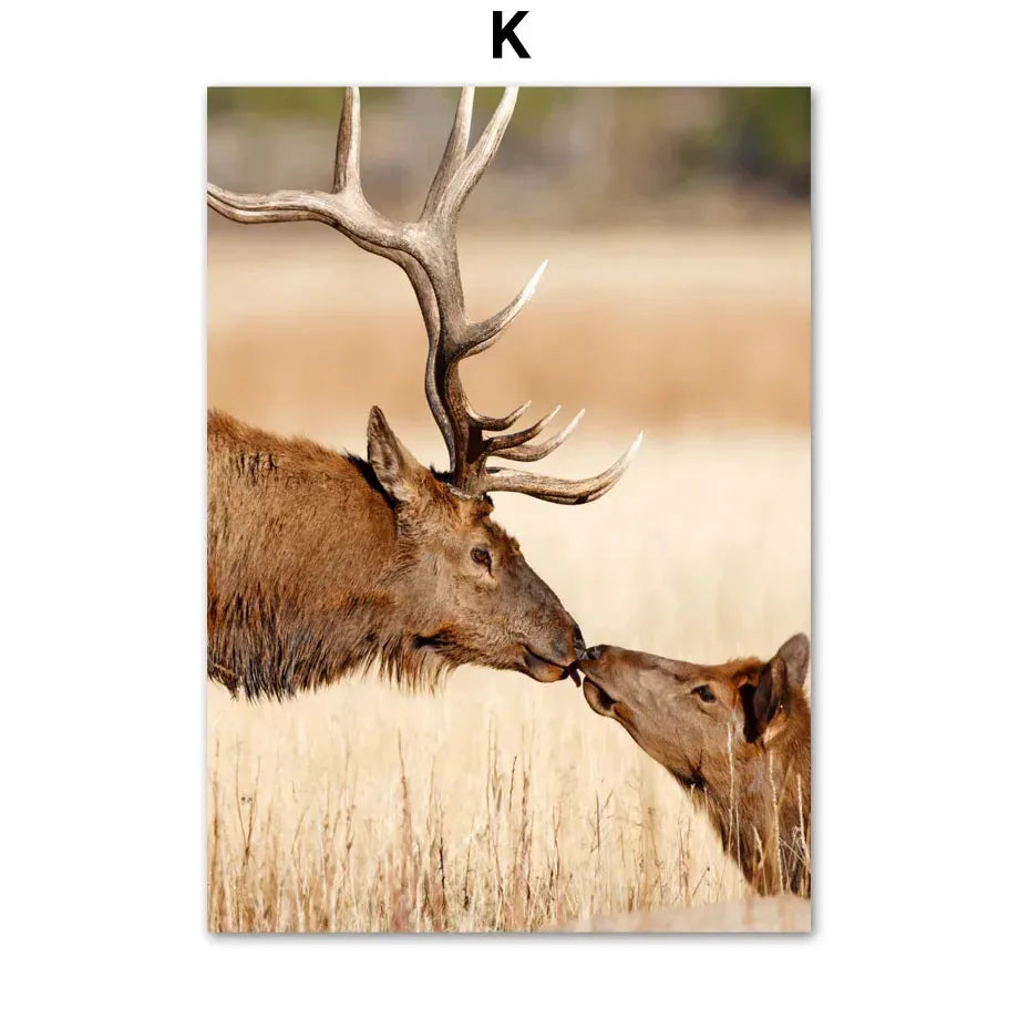 Waldtiere Wandbilder Set