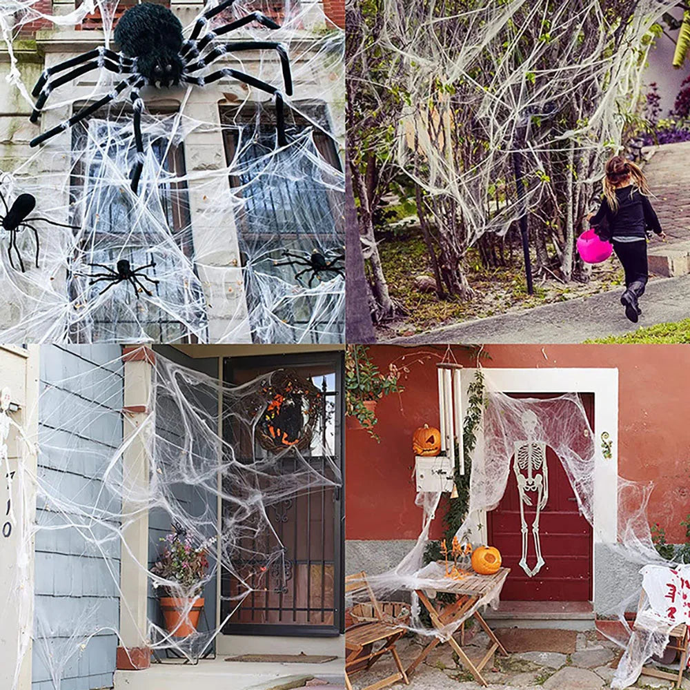 Stretchable Spider Web Decoration