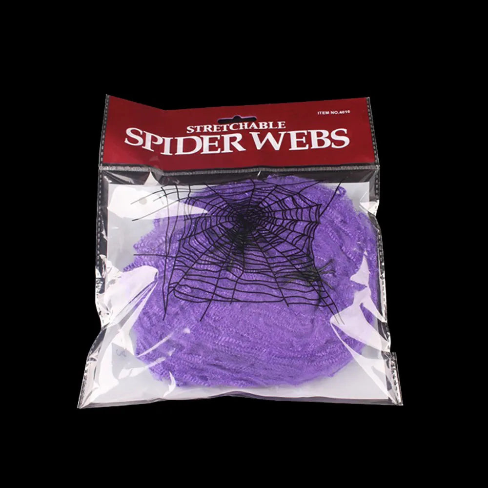 Stretchable Spider Web Decoration
