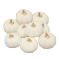 White Paintable Pumpkin Set of 6